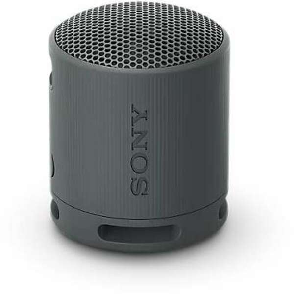 SONY SRSXB100B.CE7 crna