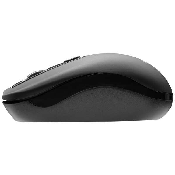 MS FOCUS M311 black