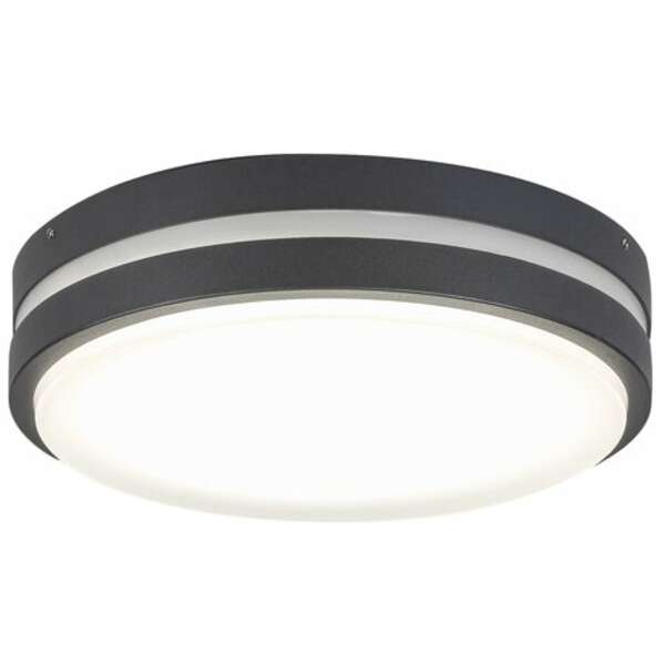 RABALUX Hamburg, spoljna zidna lampa LED12W okrugla