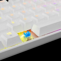 WHITE SHARK WS GK 2022 SR SHINOBI WHITE MEHANICKA