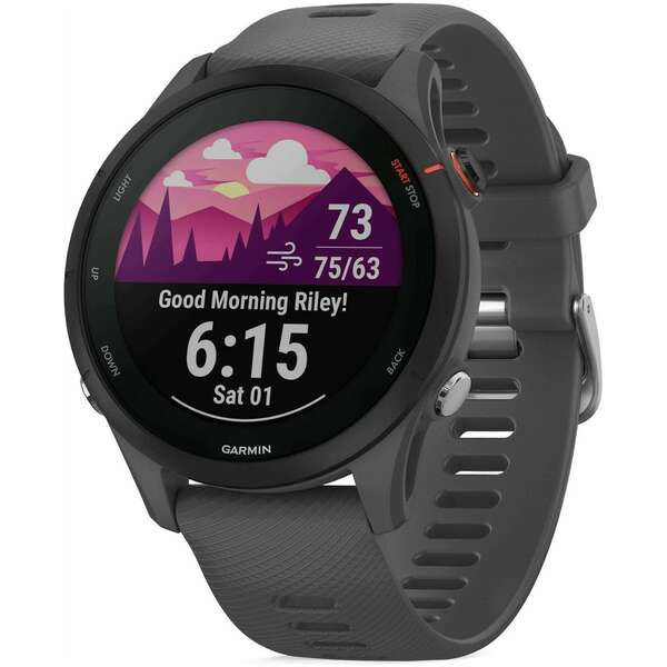 GARMIN Forerunner 255 Grey