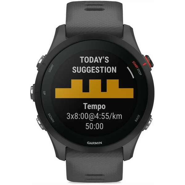 GARMIN Forerunner 255 Grey