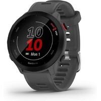 GARMIN Forerunner 55 Monterra Grey