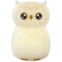 ANSMANN Owl night light