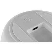 ANSMANN Penguin night light