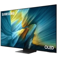 SAMSUNG QE65S95FATXXH