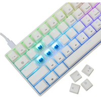 WHITE SHARK SHINOBI 2 GK 004211 mehanicka tastatura WHITE US BLUE Switch