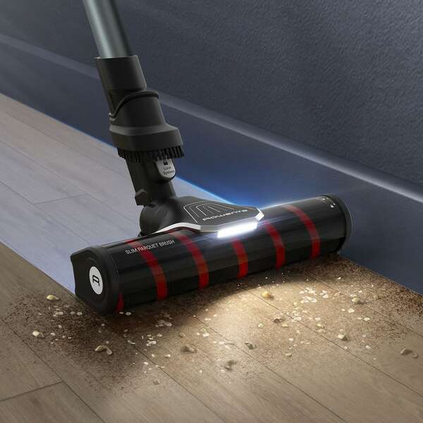 ROWENTA RH2098 X-Force Flex 9.60 