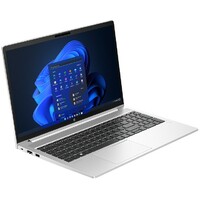 HP ProBook 455 G10 DOS/15.6