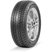 DAVANTI 195 / 65R15 91H Wintoura