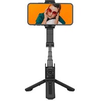 HOHEM iSteady Q Selfie Stick Black
