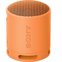 SONY SRSXB100D.CE7