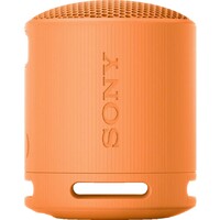 SONY SRSXB100D.CE7
