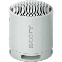 SONY SRSXB100H.CE7