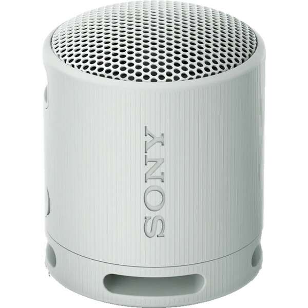 SONY SRSXB100H.CE7
