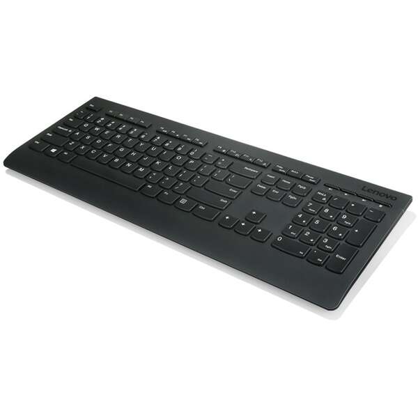 LENOVO Professional Wireless Keyboard and Mouse Combo - US English