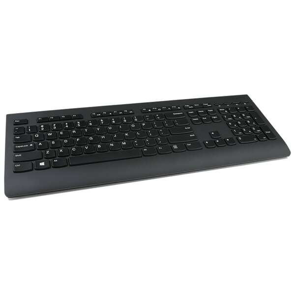 LENOVO Professional Wireless Keyboard and Mouse Combo - US English