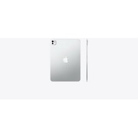 APPLE 11-inch iPad Pro (M5) WiFi 256GB with Standard Glass - Silver mdwl4hc/a