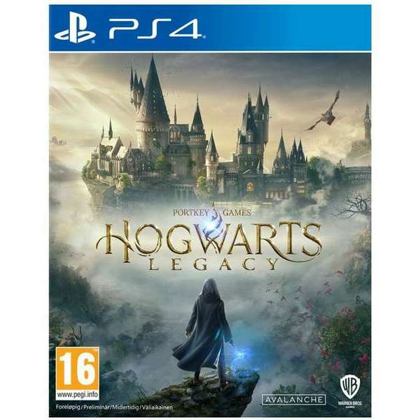 SONY PS4 Hogwarts Legacy