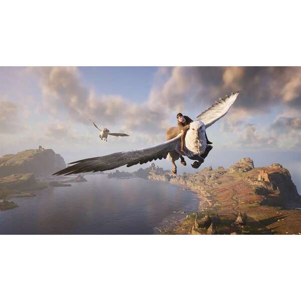 SONY PS4 Hogwarts Legacy