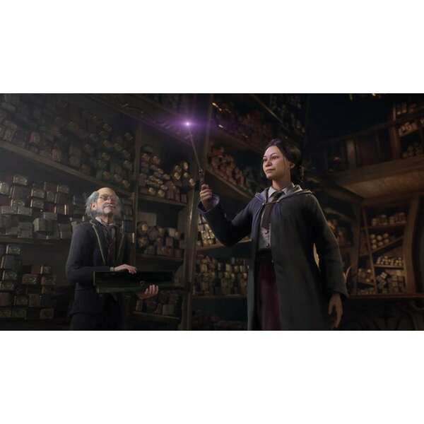 SONY PS4 Hogwarts Legacy