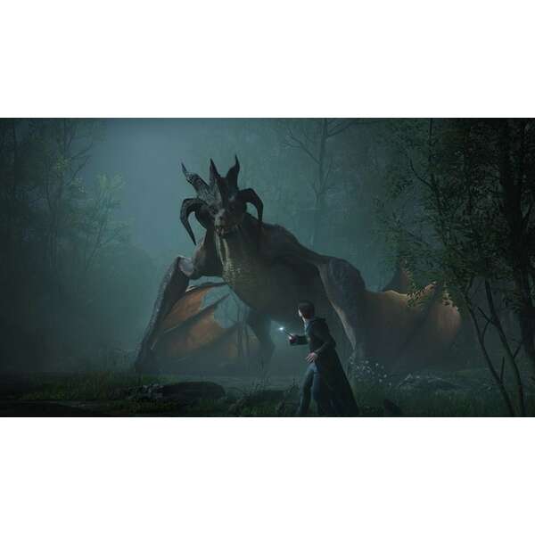 SONY PS4 Hogwarts Legacy