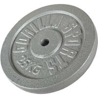 GORILLA SPORTS Teg od livenog gvozdja (25 kg  /  Srebrni)