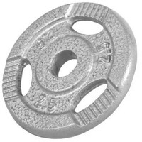 GORILLA SPORTS Teg od livenog gvozdja 2,5 kg (30 mm u sivoj boji)