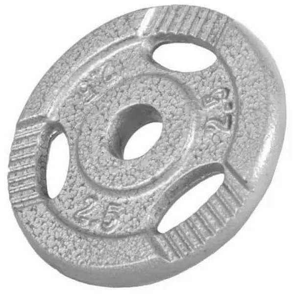 GORILLA SPORTS Teg od livenog gvozdja 2,5 kg (30 mm u sivoj boji)