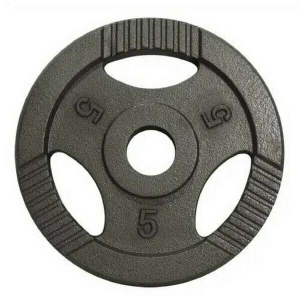 GORILLA SPORTS Teg od livenog gvozdja 5 kg (50 mm u sivoj boji)