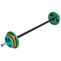 GORILLA SPORTS Sipka za aerobik sa tegovima i 2 sigurnosne opruge za diskove (19,3 kg)