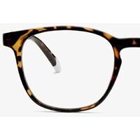 BARNER Dalston Glossy Tortoise