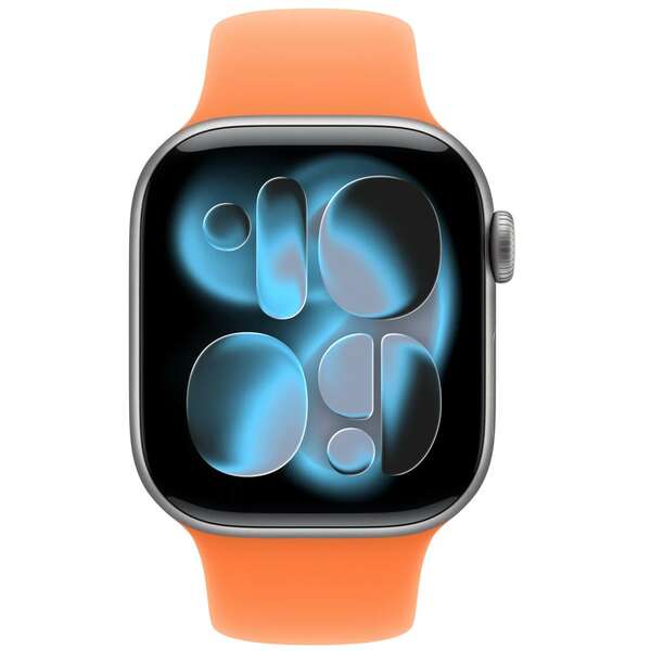 APPLE Watch 42mm Band: Clementine Sport Band - S/M (SEASONAL) mhyd4zm/a