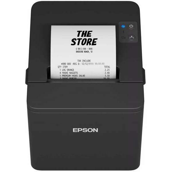 EPSON TM-T20IV-101