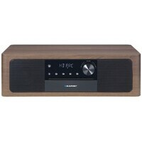 BLAUPUNKT MS22BT
