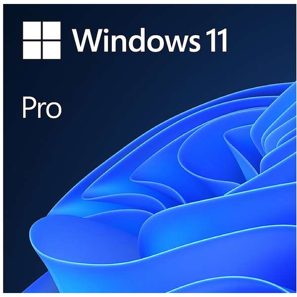 MS Win Pro 11 64Bit OEM FQC-10529