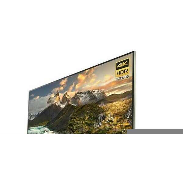 SONY KD65ZD9BAEP