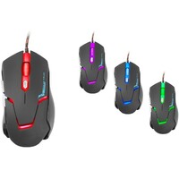 TRACER Kintaro TRAMYS44918