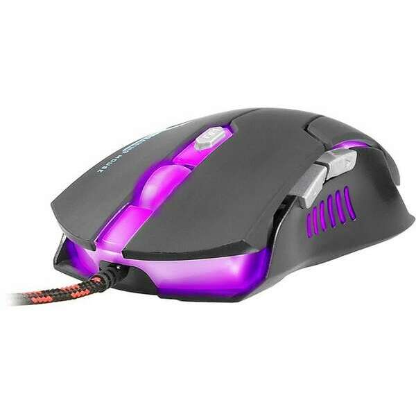 TRACER Kintaro TRAMYS44918