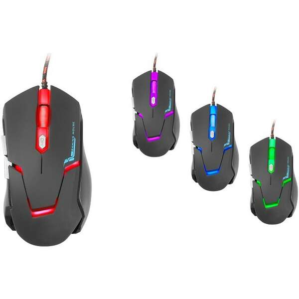 TRACER Kintaro TRAMYS44918