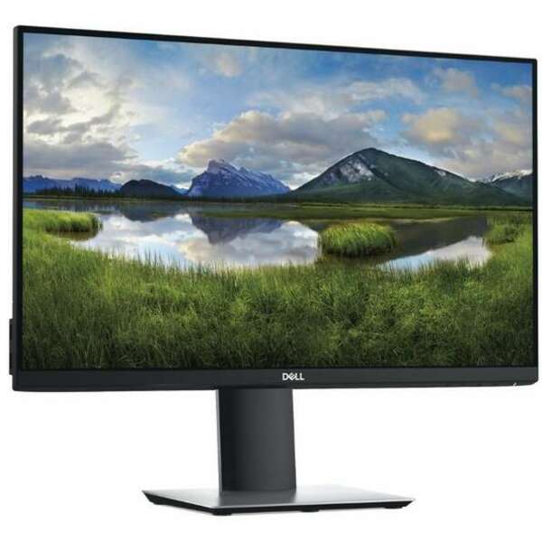 DELL P2419H IPS