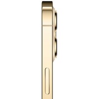 APPLE iPhone 12 Pro Max 256GB Gold mgde3se/a