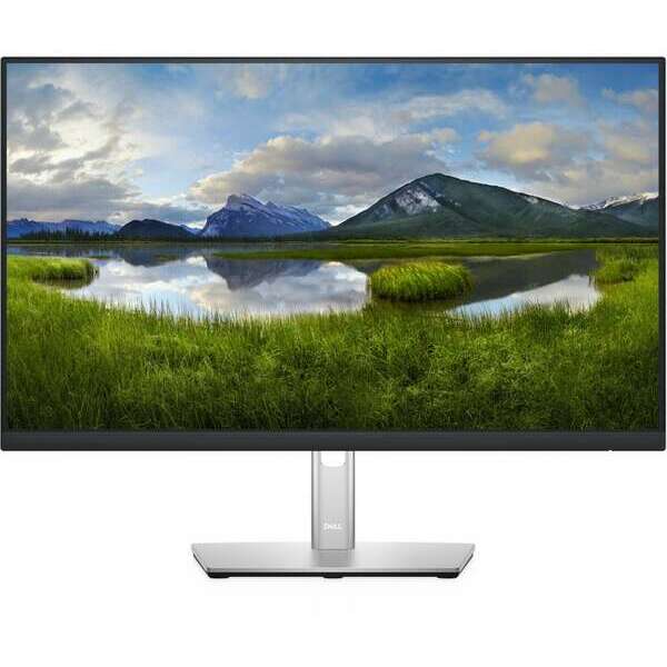 DELL P2422H Professional IPS