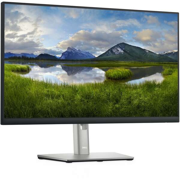 DELL P2422H Professional IPS