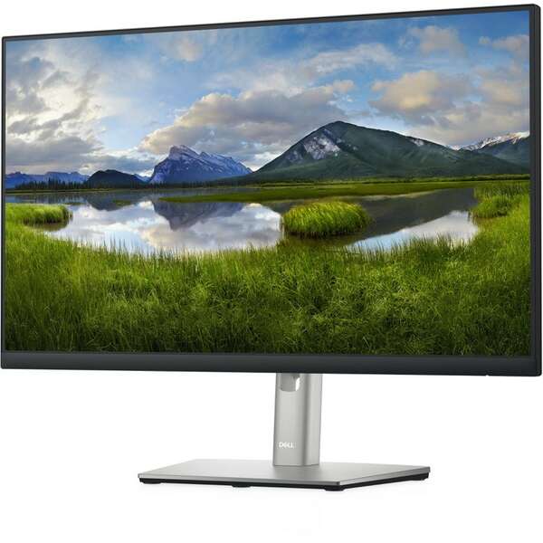 DELL P2422H Professional IPS