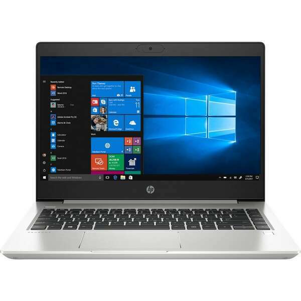 HP 455 G7 2D239EA