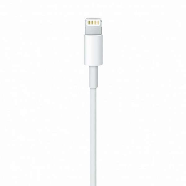 APPLE Lightning to USB Cable (1 m) mxly2zm/a