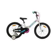 20 CROSS DAISY 2022 / White