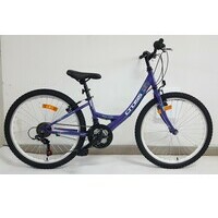 24 CROSS ALISSA  Purple 2022