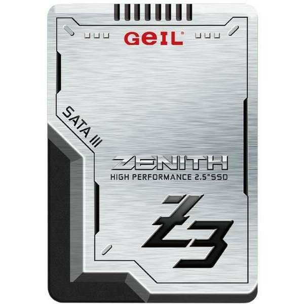 GEIL 256GB 2.5